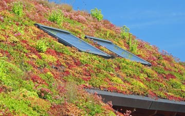 Llandow living roof systems